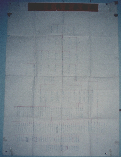 Patrick Kelly - Lineage Chart